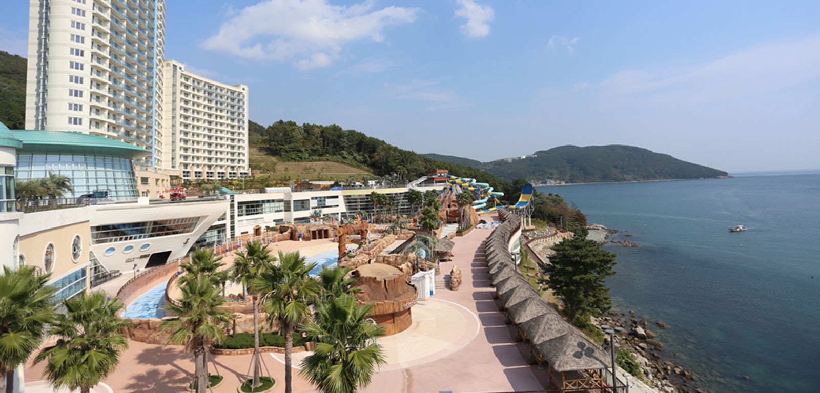 대명리조트 이미지