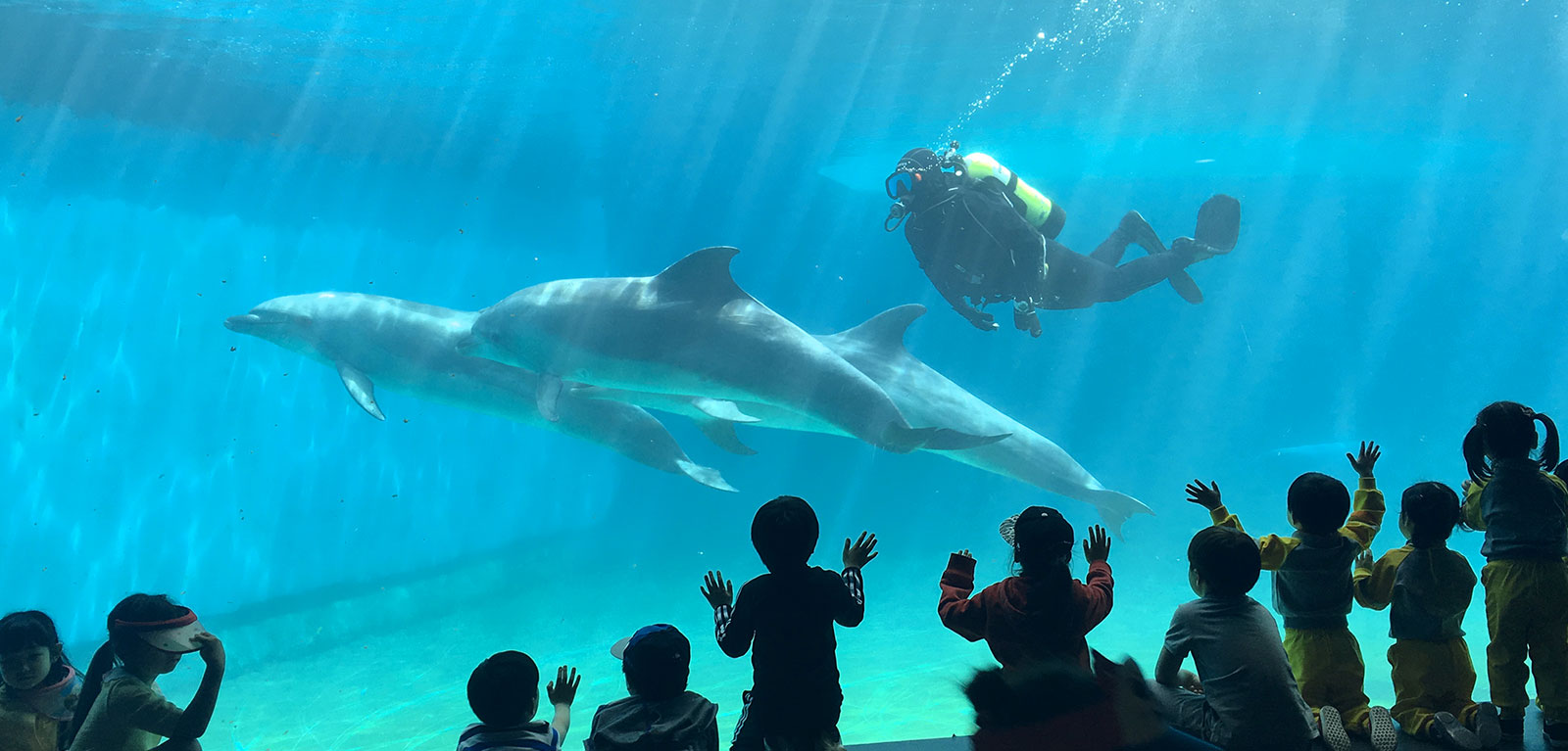 거제씨월드 이미지